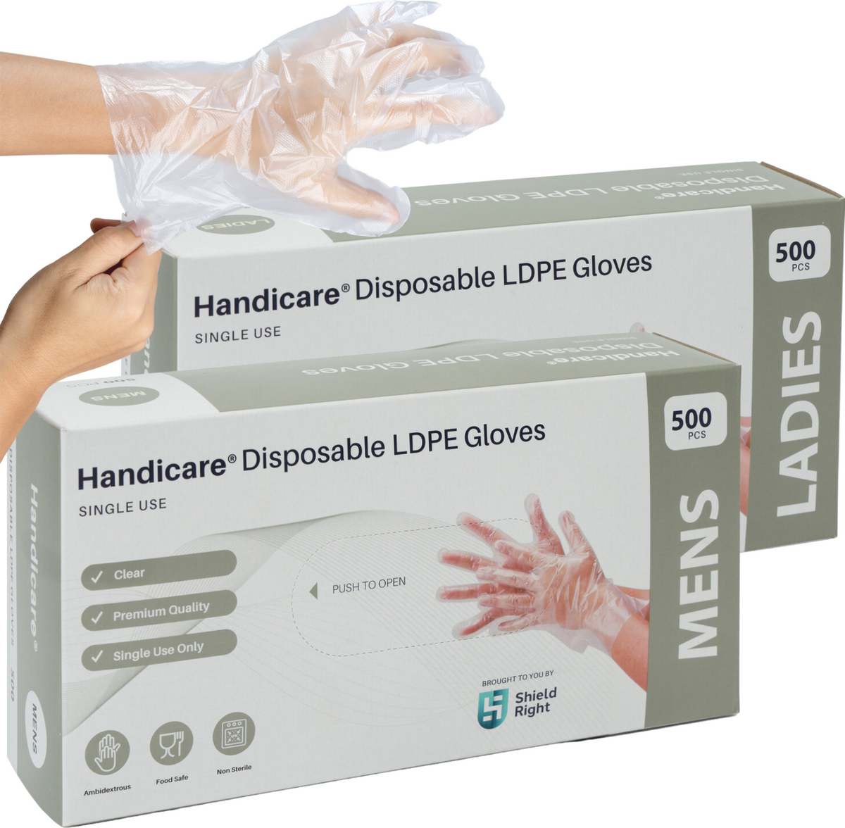 Shield Right LDPE Clear Disposable Gloves Box of 500 - Ladie