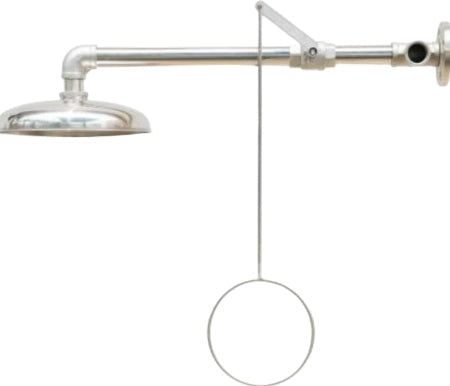Maxisafe Stainless Steel Wall Mounted Safety Shower